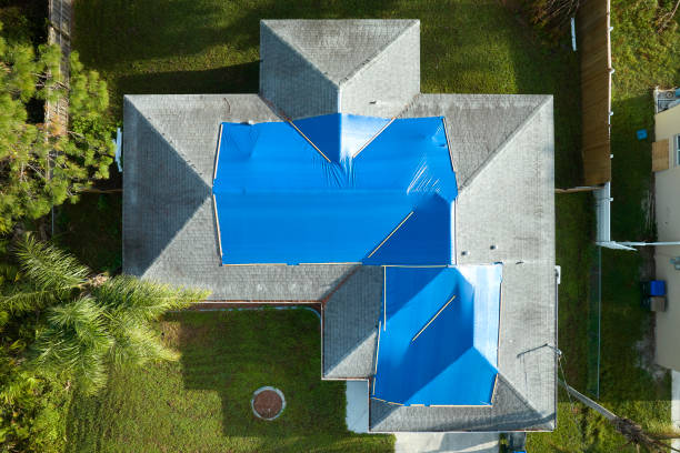 Best Roof Moss and Algae Removal  in Monroe, OH