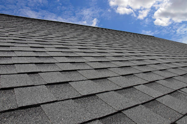 Best Storm Damage Roof Repair  in Monroe, OH